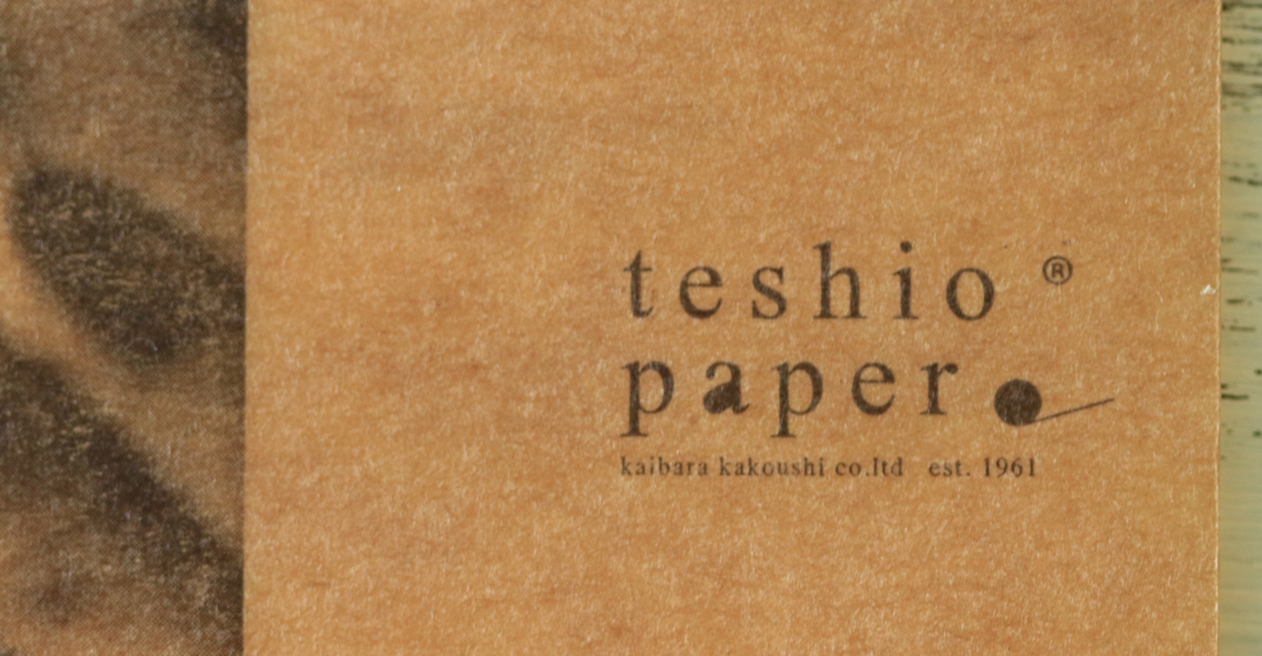 teshioロゴの印刷
