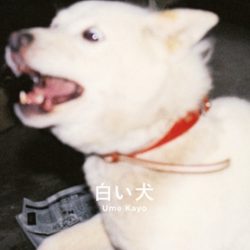 写真家梅佳代様の新作写真集「白い犬」にteshio paperをご使用いただきました！！