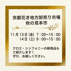 京都で秋の見本市出展☆11月13日・14日の2日間!!