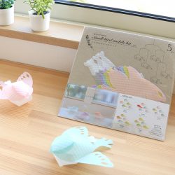 大人可愛い小鳥をご紹介🐦